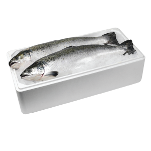 Cá hồi tươi Nauy nguyên con (Salmon Fresh)